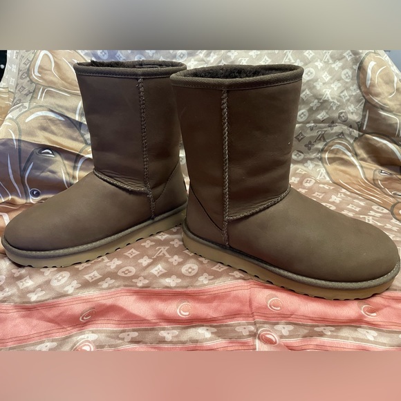 Brown Classic Short Ugg Boot - Picture 4 of 8